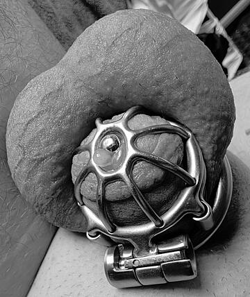 Anal Play BBC slut Microchastity — chastity