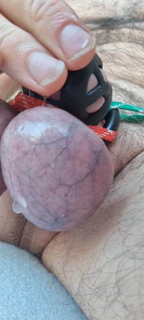 Microchastity CBT and Caged — chastity