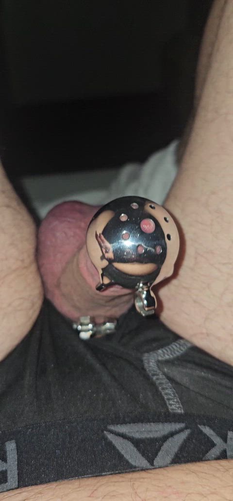 Microchastity: Beta Chastity Chastity Belt — chastity