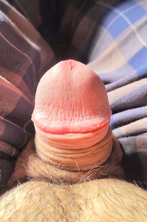 Sissygasm: Femboy POV Sissy — femboy