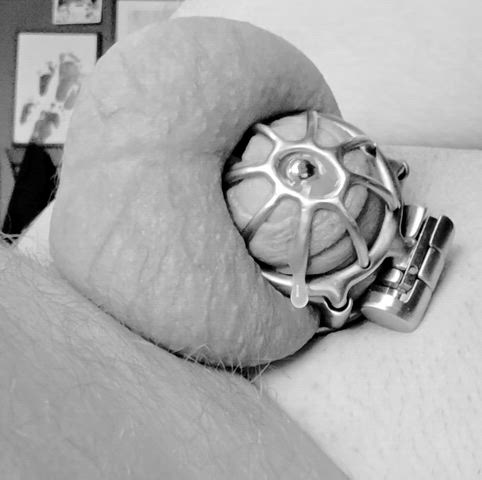 Bbc Sissy: Anal Play BDSM Chastity — chastity