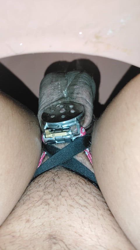 Cagedsissy2020, Pee and Peeing — Bbc Sissy — sissy slut