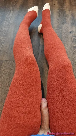 bet