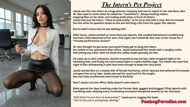 The Intern's Pet Project — sissy caption