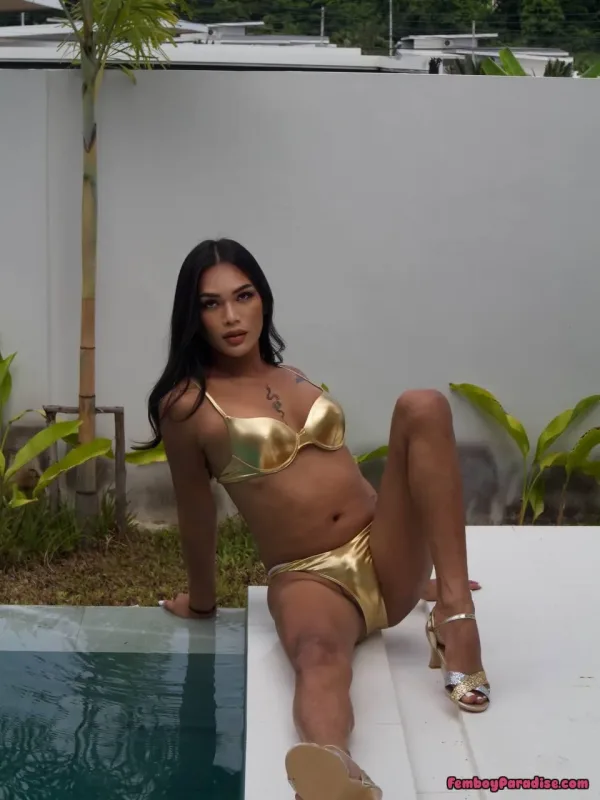 I have everything you want come give it all to me